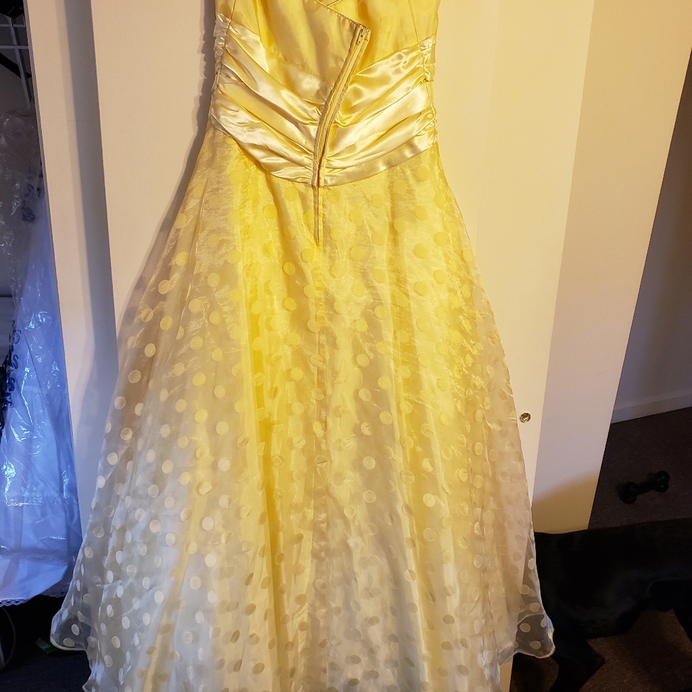 Prom Dress - Picture 2 of 4